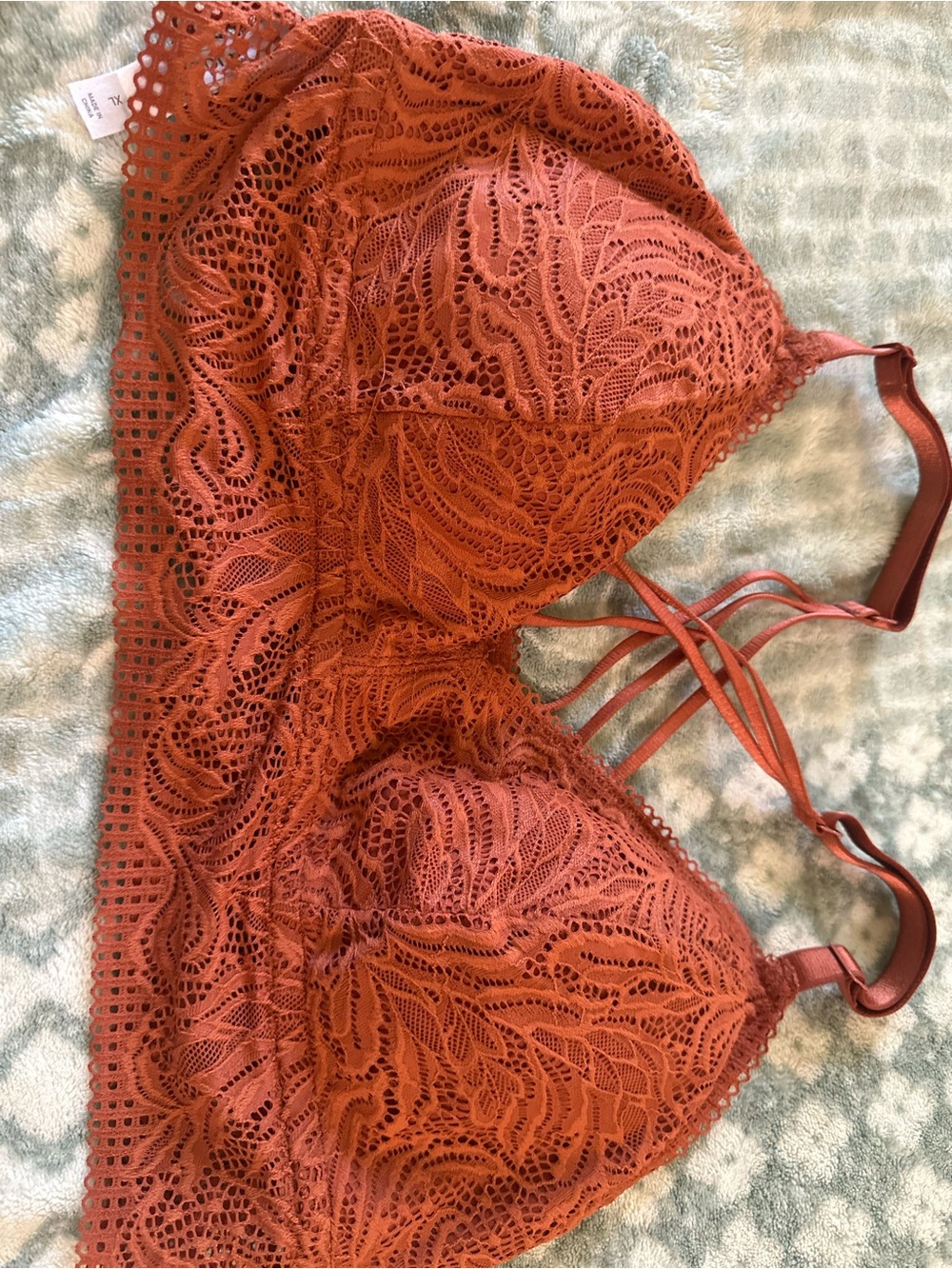 Auden Lace Bralette in Rusty Terracotta XL